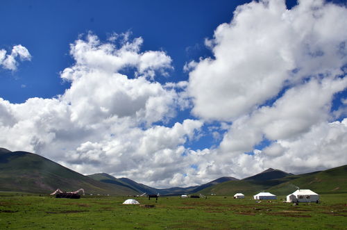 西藏高原：自然之美与人文之韵的完美交融