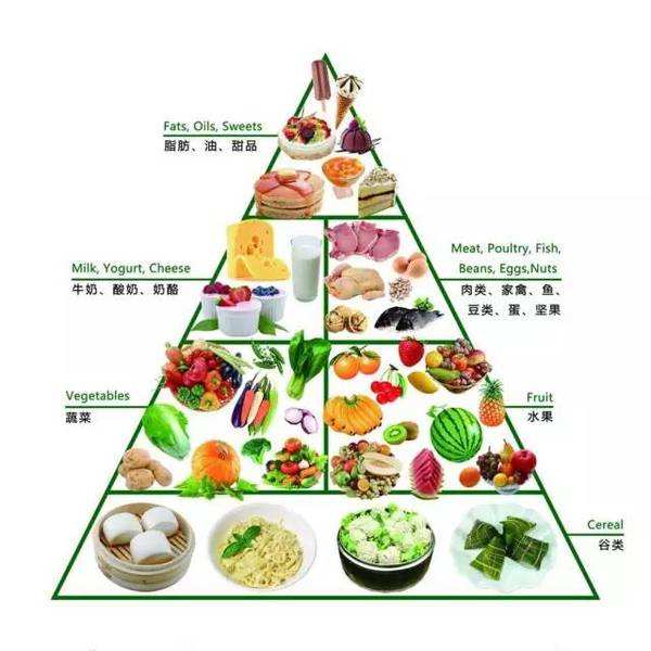食物的营养价值包括哪些概念范畴
