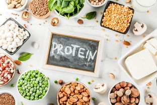 素食者从哪里摄取蛋白质最多