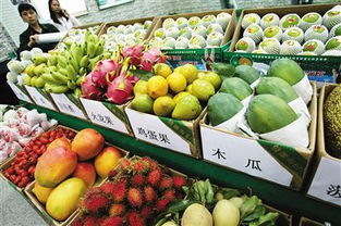 海南省热带水果出口贸易